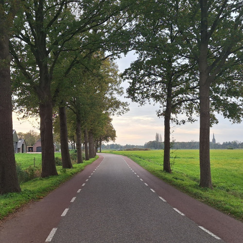 GNMI Mini Seminar | Verlies van functies in het landelijk gebied