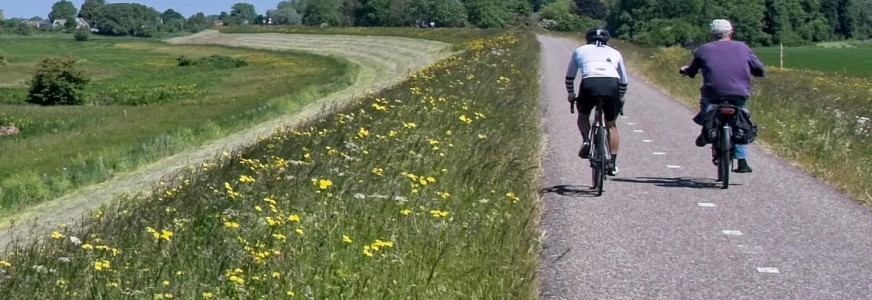 GNMI Verkeersveiligheid: wat maakt dijkwegen veilig?